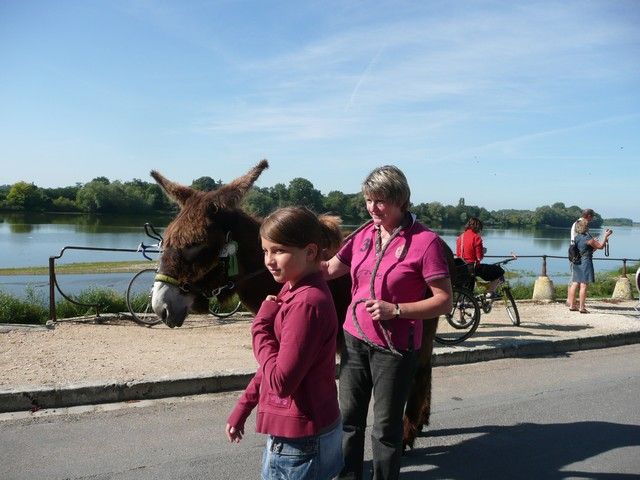dimanche (42).jpg